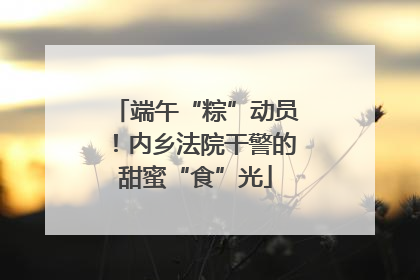 端午“粽”动员！内乡法院干警的甜蜜“食”光