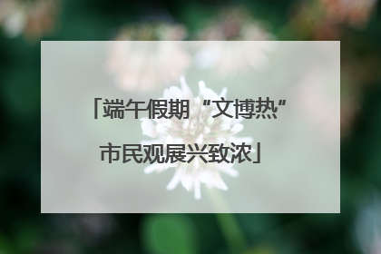 端午假期“文博热” 市民观展兴致浓