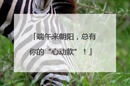 端午来朝阳，总有你的“心动款”！