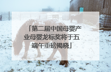 第二届中国母婴产业母婴龙标奖将于五端午重磅揭晓