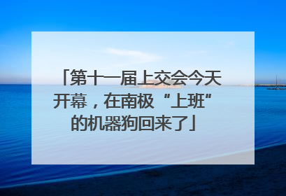 第十一届上交会今天开幕，在南极“上班”的机器狗回来了