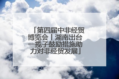 第四届中非经贸博览会丨湖南出台一揽子鼓励措施助力对非经贸发展