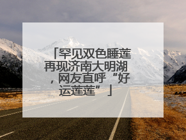 罕见双色睡莲再现济南大明湖，网友直呼“好运莲莲”