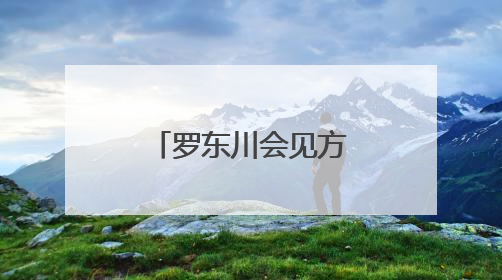 罗东川会见方大集团董事局主席方威一行