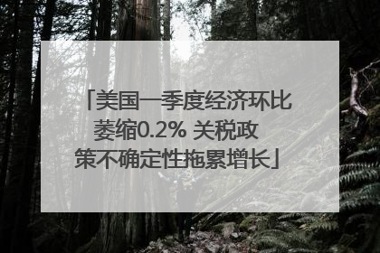美国一季度经济环比萎缩0.2% 关税政策不确定性拖累增长
