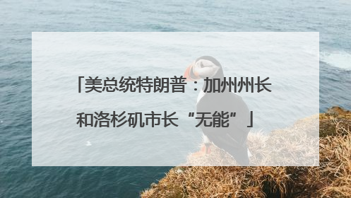 美总统特朗普：加州州长和洛杉矶市长“无能”