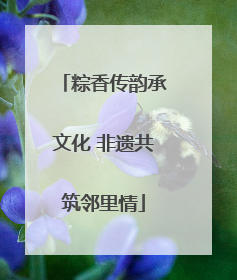 粽香传韵承文化 非遗共筑邻里情