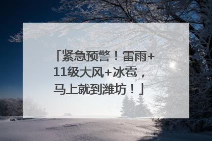 紧急预警！雷雨+11级大风+冰雹，马上就到潍坊！