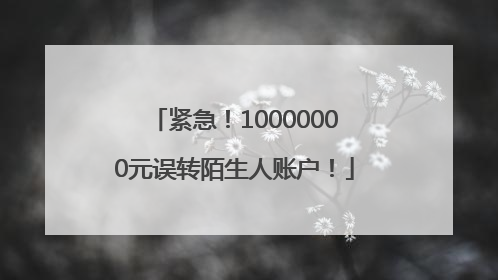 紧急！10000000元误转陌生人账户！