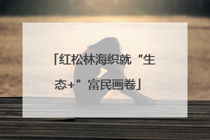 红松林海织就“生态+”富民画卷