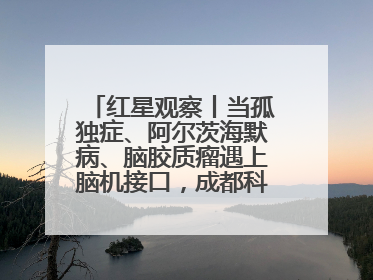 红星观察丨当孤独症、阿尔茨海默病、脑胶质瘤遇上脑机接口，成都科研改变医学图景