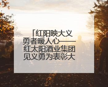 红阳映大义 勇者暖人心——红太阳酒业集团见义勇为表彰大会！