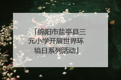 绵阳市盐亭县三元小学开展世界环境日系列活动