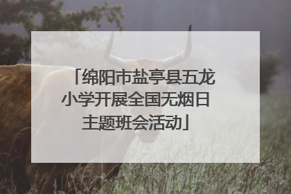 绵阳市盐亭县五龙小学开展全国无烟日主题班会活动