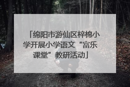 绵阳市游仙区梓棉小学开展小学语文“富乐课堂”教研活动