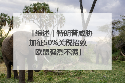 综述｜特朗普威胁加征50%关税招致欧盟强烈不满