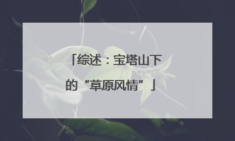 综述：宝塔山下的“草原风情”