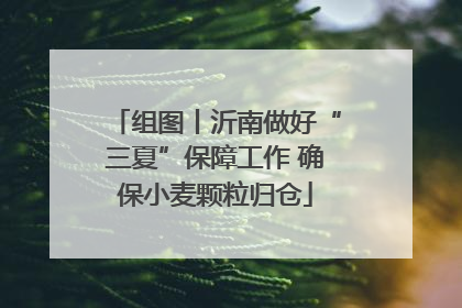 组图丨沂南做好“三夏”保障工作 确保小麦颗粒归仓