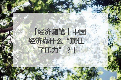 经济随笔丨中国经济靠什么“顶住了压力”？