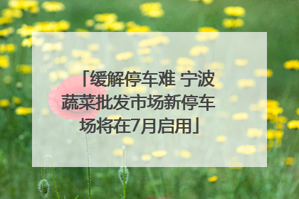 缓解停车难 宁波蔬菜批发市场新停车场将在7月启用