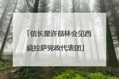 信长星许昆林会见西藏拉萨党政代表团