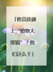 修高铁碰上“植物大熊猫”？他们这么干