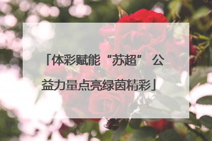 体彩赋能“苏超” 公益力量点亮绿茵精彩