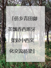 侨乡青田御茶飘香西班牙 架起中西文化交流桥梁