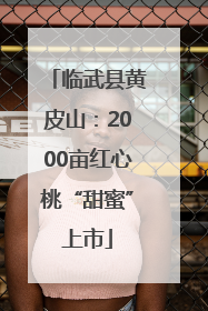 临武县黄皮山：2000亩红心桃“甜蜜”上市