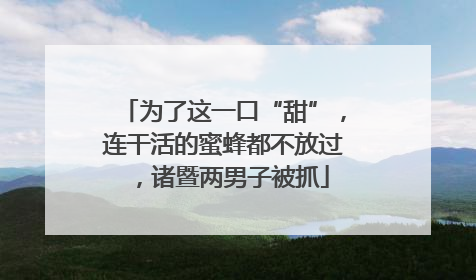 为了这一口“甜”，连干活的蜜蜂都不放过，诸暨两男子被抓