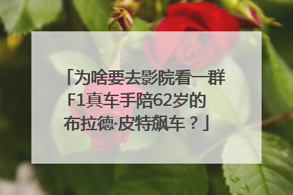 为啥要去影院看一群F1真车手陪62岁的布拉德·皮特飙车？