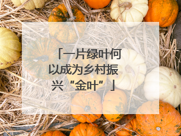 一片绿叶何以成为乡村振兴“金叶”