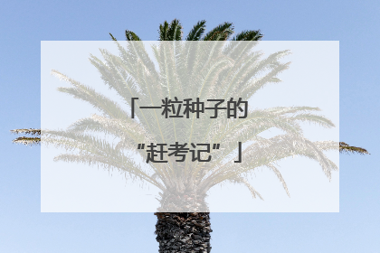 一粒种子的“赶考记”