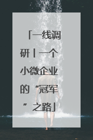 一线调研丨一个小微企业的“冠军”之路
