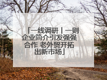 一线调研丨一则企业简介引发强强合作 老外贸开拓出新市场