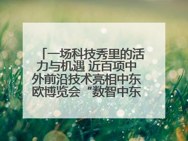 一场科技秀里的活力与机遇 近百项中外前沿技术亮相中东欧博览会“数智中东欧”板块