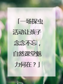 一场探虫活动让孩子念念不忘，自然课堂魅力何在？