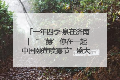 一年四季·泉在济南｜“‘赫’你在一起 中国颐莲喷雾节”盛大开启 共赴水润之约