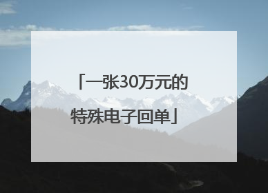 一张30万元的特殊电子回单