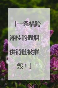 一条横跨湘桂的假烟供销链被摧毁！
