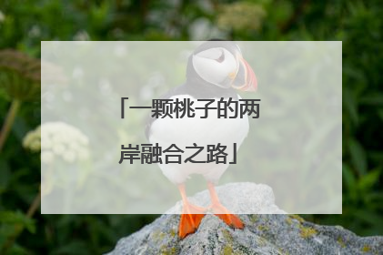 一颗桃子的两岸融合之路