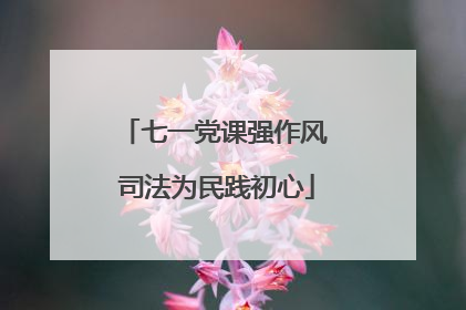 七一党课强作风 司法为民践初心