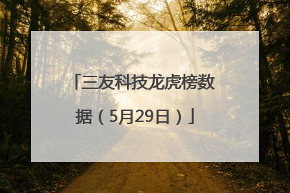 三友科技龙虎榜数据（5月29日）