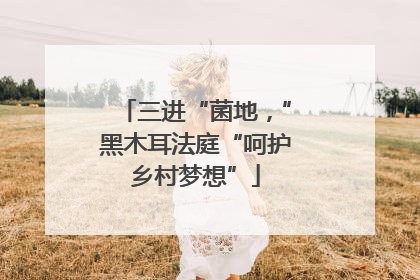 三进“菌地，”黑木耳法庭“呵护乡村梦想”