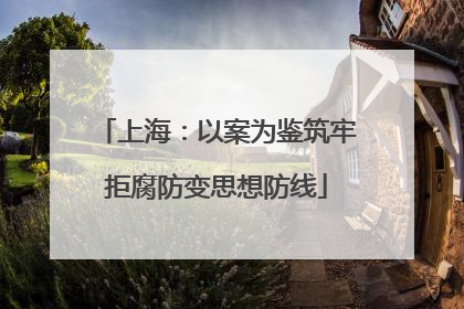 上海：以案为鉴筑牢拒腐防变思想防线