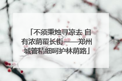 不须秉烛寻凉去 自有浓荫覆长街——郑州城管精细呵护林荫路