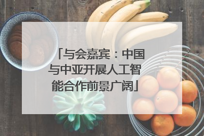 与会嘉宾：中国与中亚开展人工智能合作前景广阔