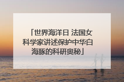 世界海洋日 法国女科学家讲述保护中华白海豚的科研奥秘