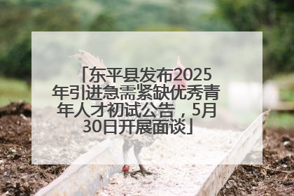 东平县发布2025年引进急需紧缺优秀青年人才初试公告，5月30日开展面谈