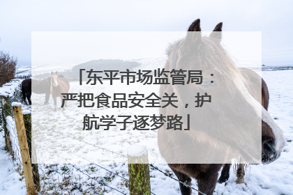 东平市场监管局：严把食品安全关，护航学子逐梦路
